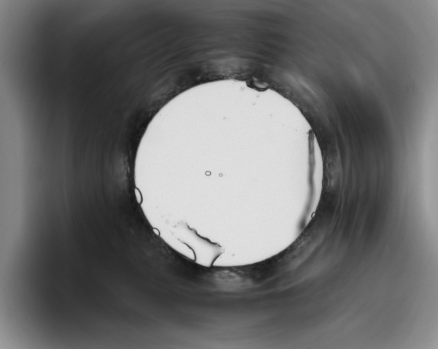 X0000096400279200802211210