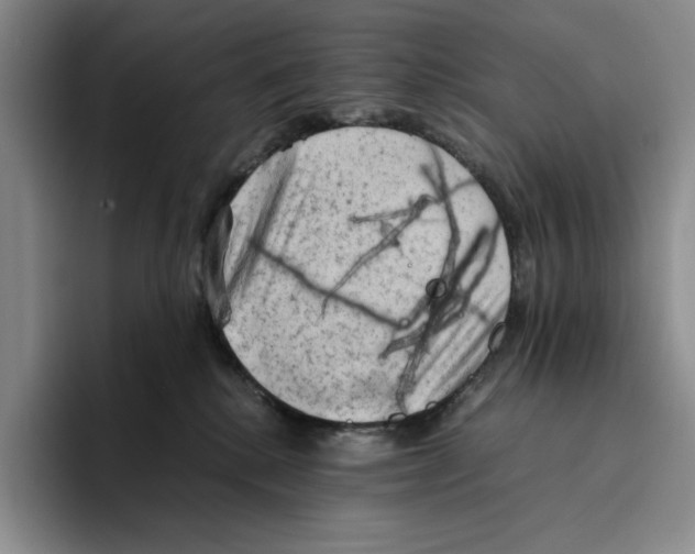 X0000096400280200802211210