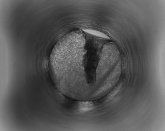 X0000096400281200802211210