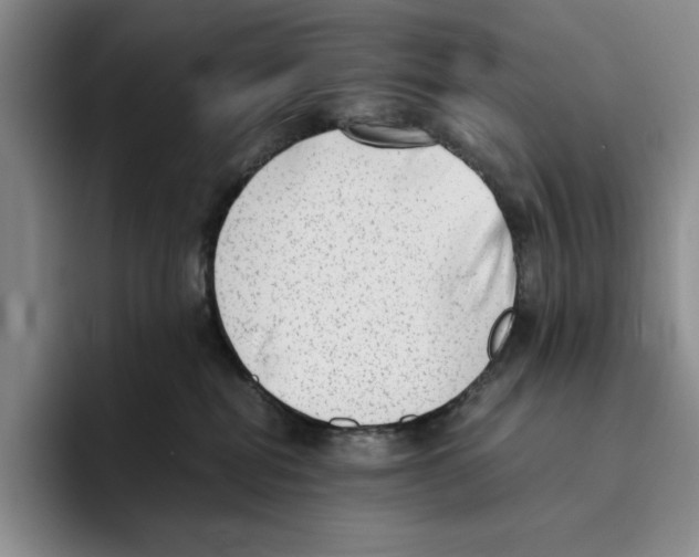 X0000096400282200802211210