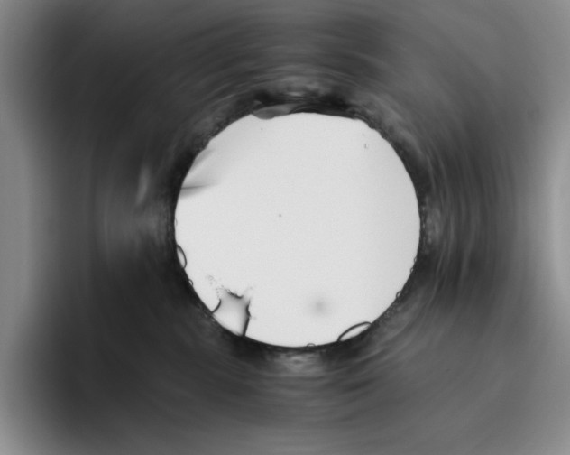 X0000096400283200802211210