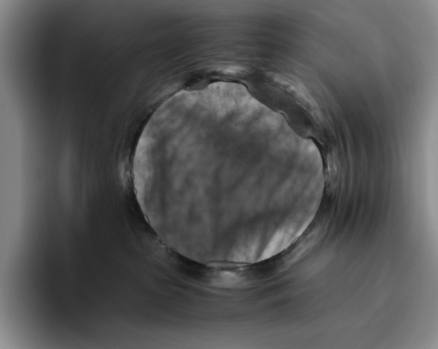 X0000096400285200802211210