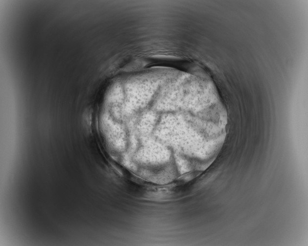 X0000096400288200802211210