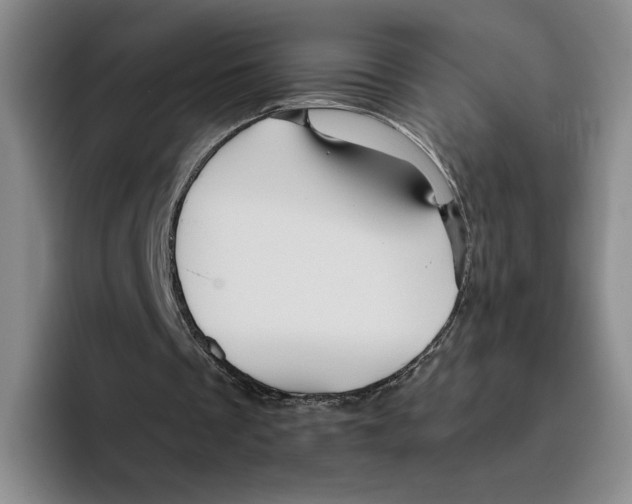 X0000096400289200802211209