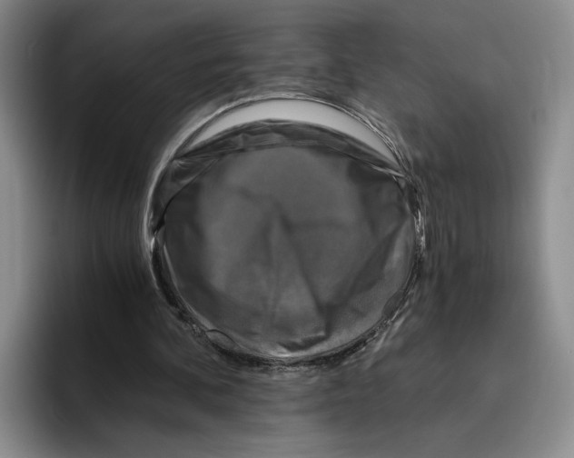 X0000096400292200802211209