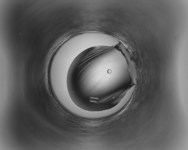 X0000096400293200802211209