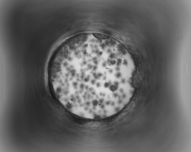 X0000096400294200802211209