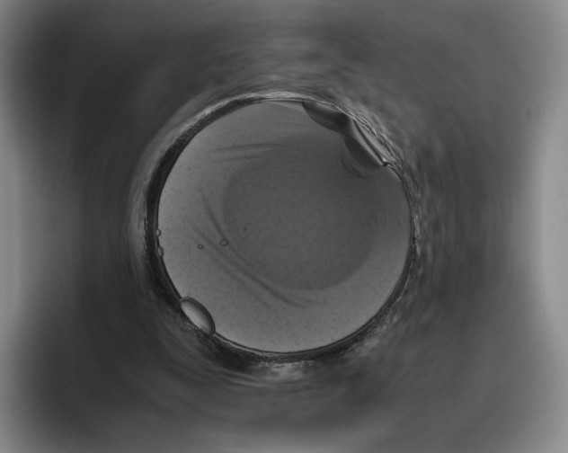 X0000096400295200802211209