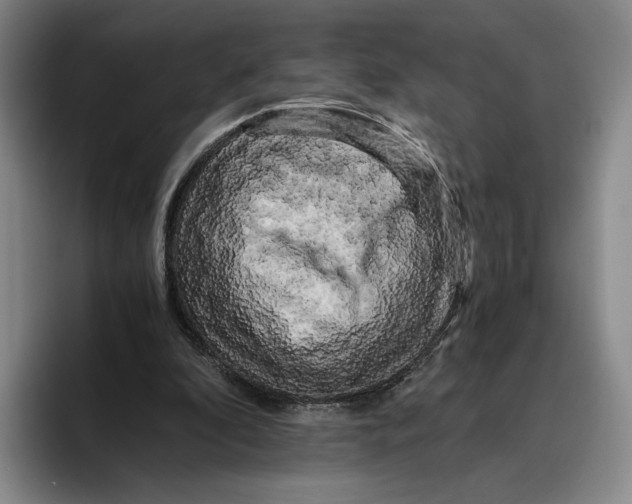 X0000096400296200802211209