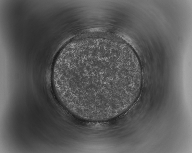 X0000096400297200802211209