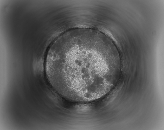 X0000096400299200802211209