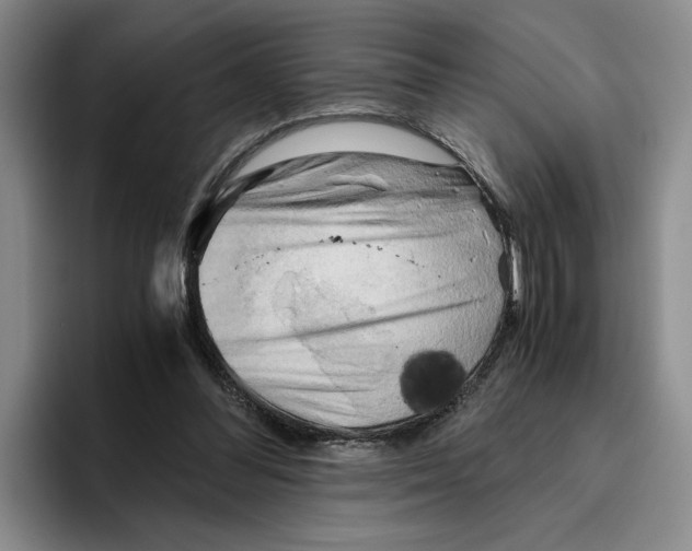 X0000096400300200802211209