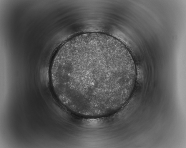 X0000096400302200802211209