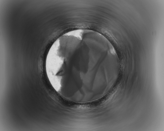 X0000096400303200802211209