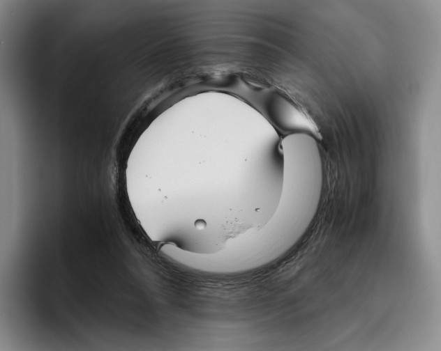 X0000096400304200802211209