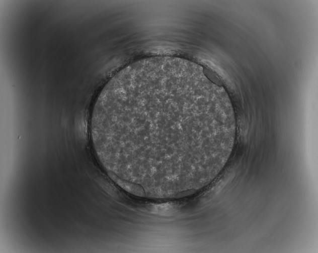 X0000096400309200802211209