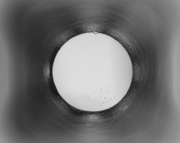 X0000096400310200802211209