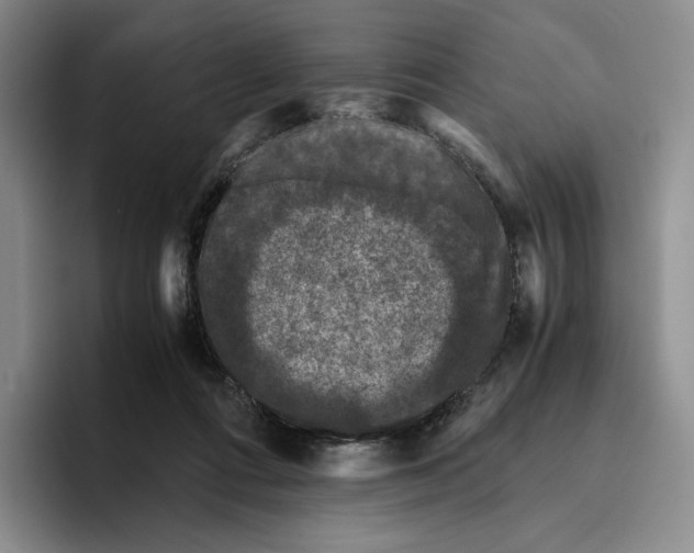 X0000096400312200802211209