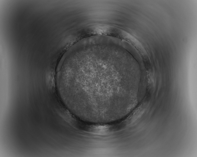 X0000096400313200802211209