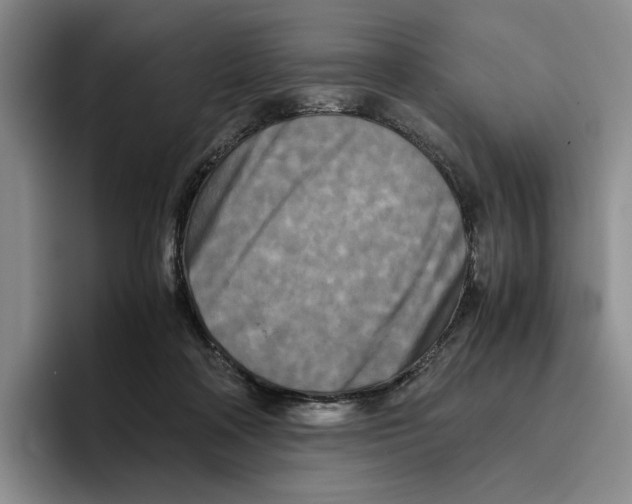 X0000096400314200802211209