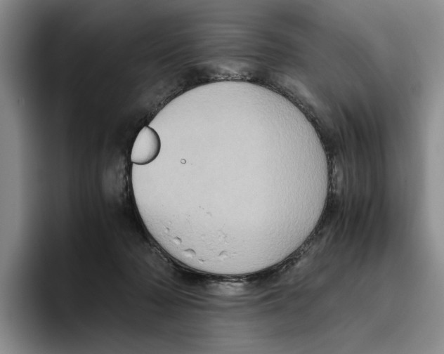 X0000096400318200802211209