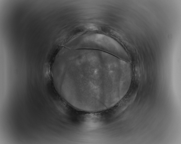 X0000096400320200802211209