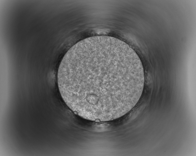 X0000096400321200802211209