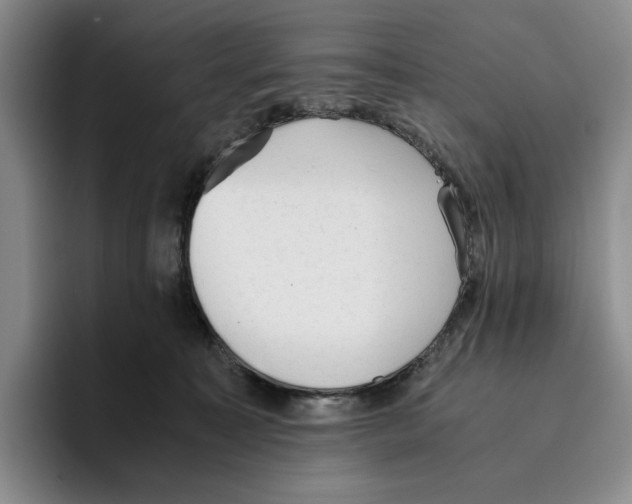 X0000096400323200802211209