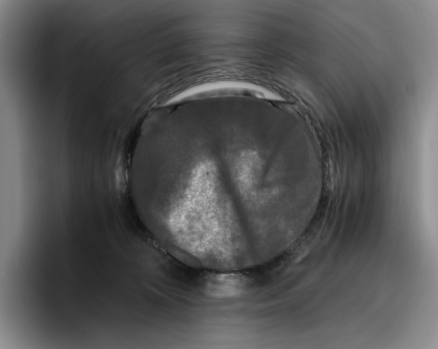 X0000096400324200802211209