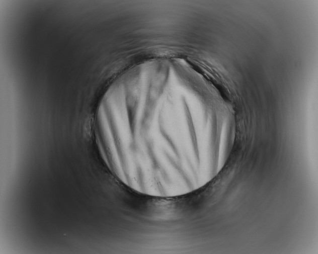 X0000096400325200802211209