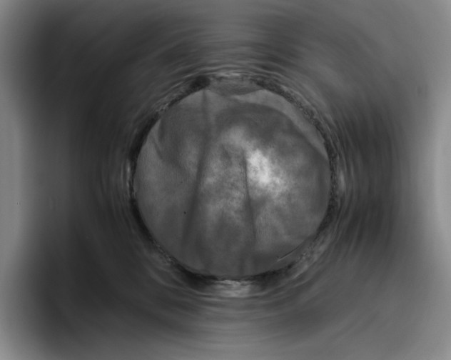 X0000096400328200802211209