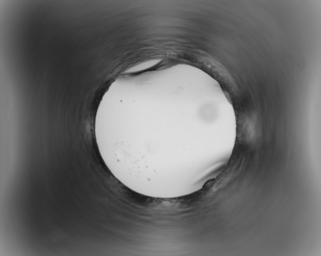 X0000096400329200802211209