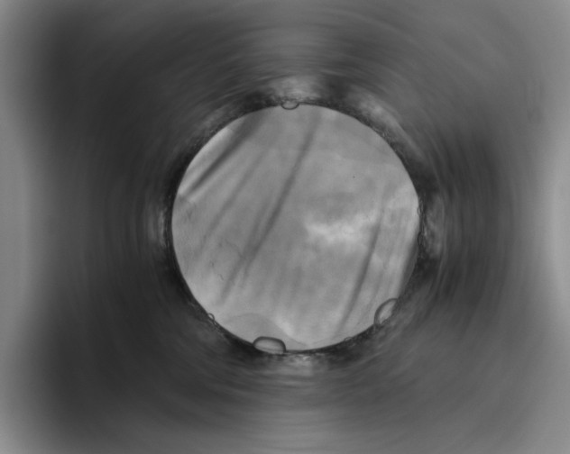 X0000096400330200802211209