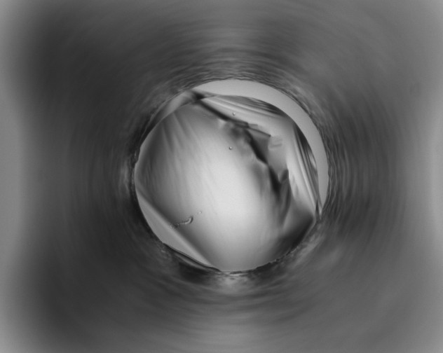 X0000096400333200802211209