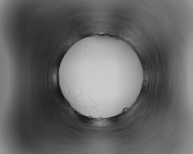 X0000096400334200802211209