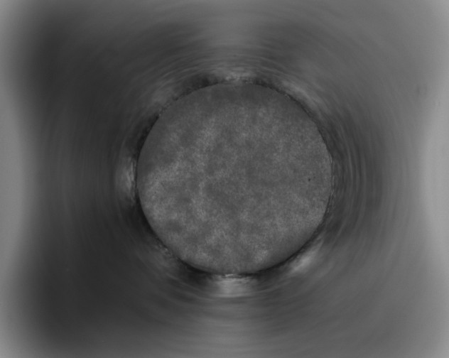 X0000096400336200802211209