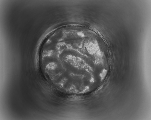 X0000096400343200802211208