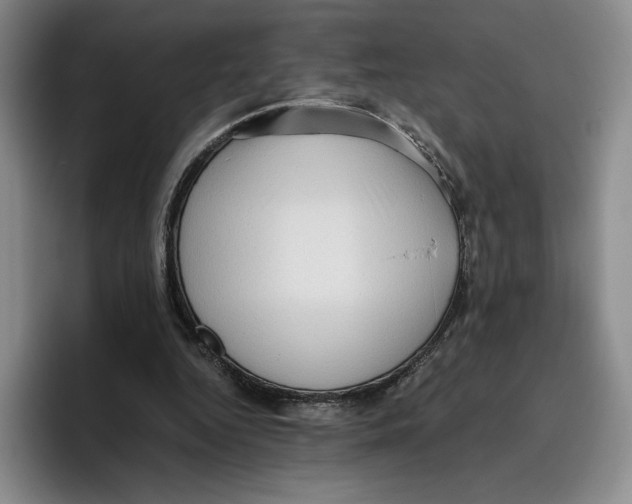 X0000096400344200802211208