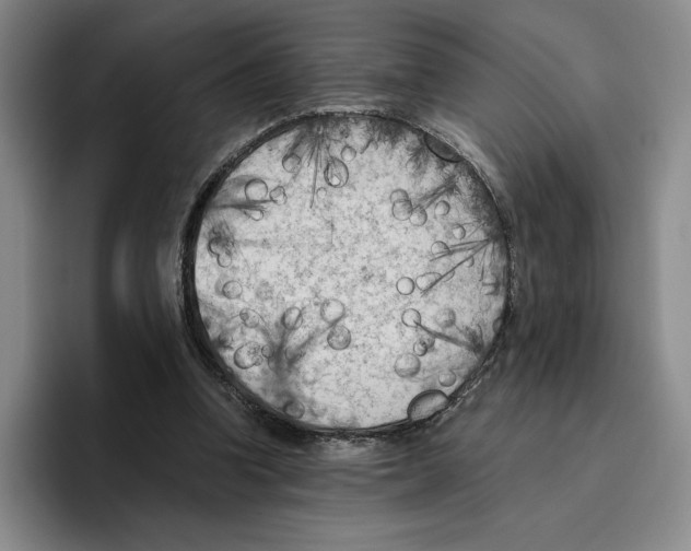 X0000096400346200802211208