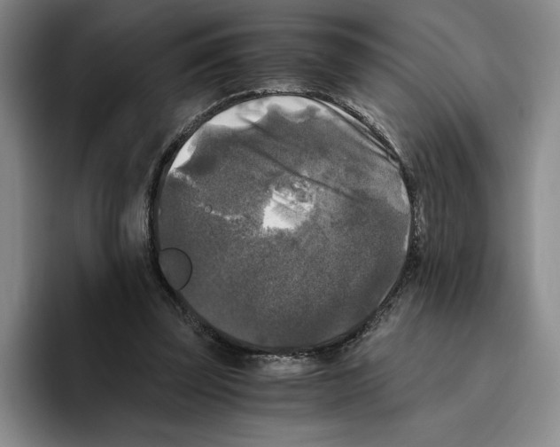 X0000096400347200802211208