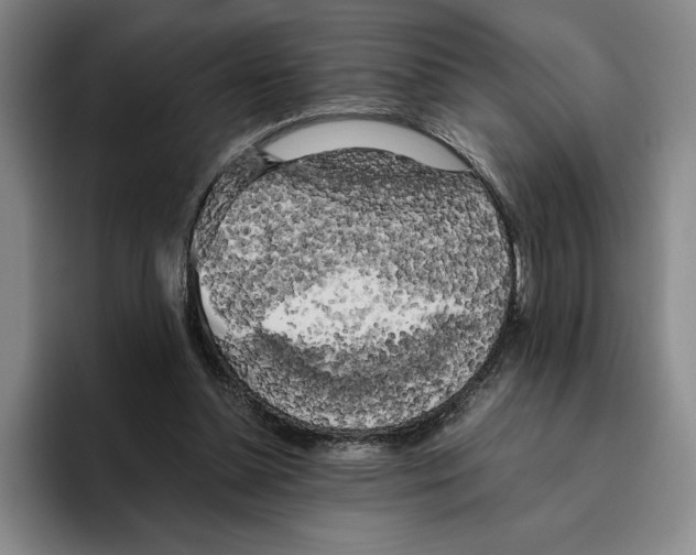 X0000096400348200802211208