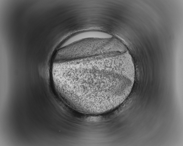 X0000096400350200802211208