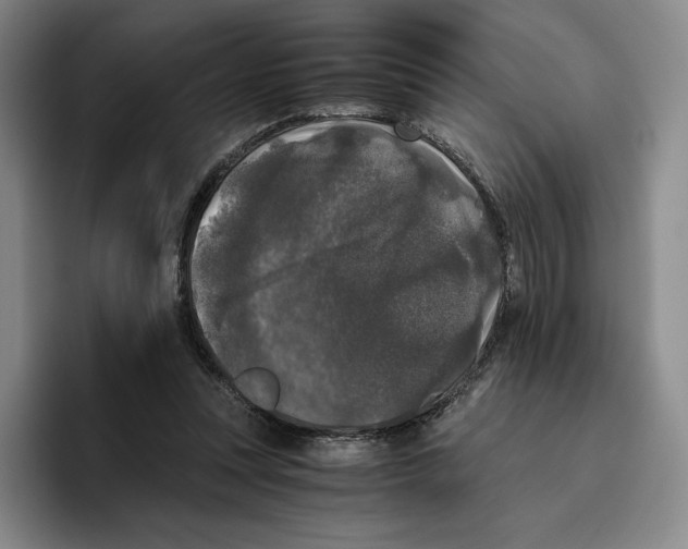 X0000096400351200802211208