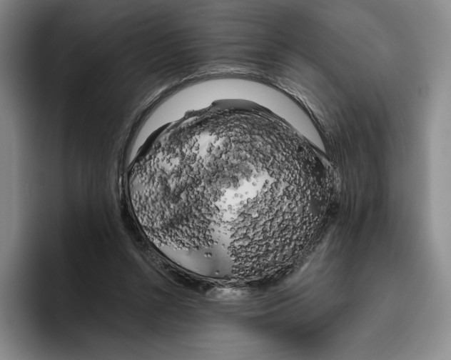 X0000096400352200802211208