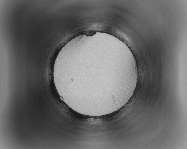 X0000096400354200802211208