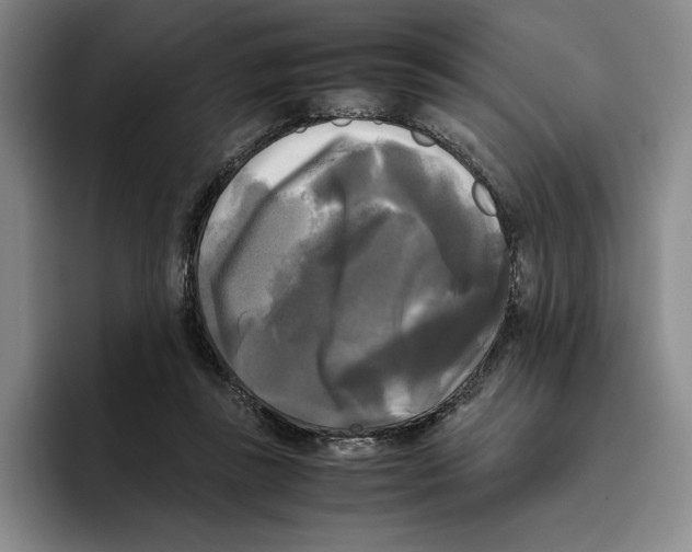 X0000096400355200802211208