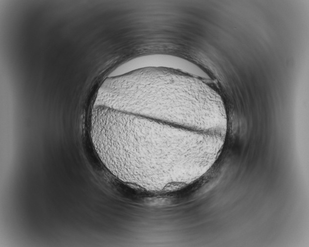 X0000096400356200802211208