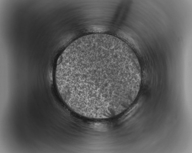 X0000096400358200802211208