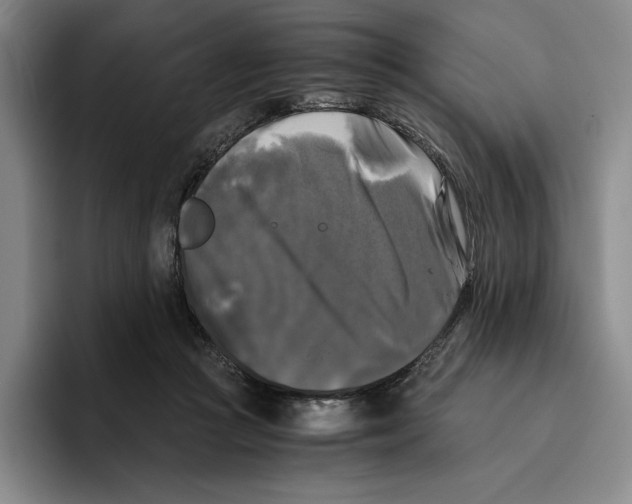 X0000096400361200802211208