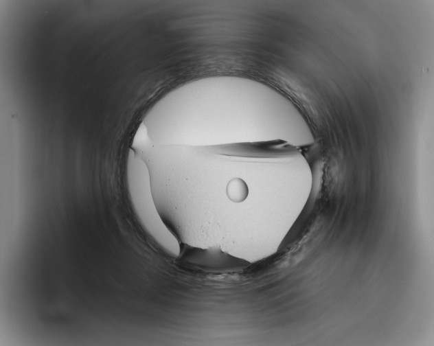 X0000096400362200802211208